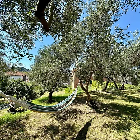 Agriturismo Uliveto Bartolomeo-2