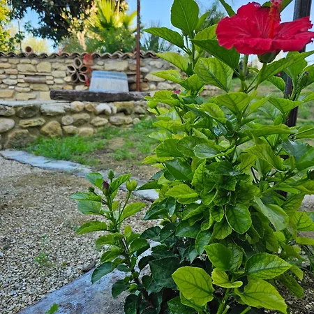 Borgo del Marchese-2