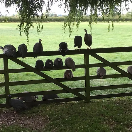 Brickfields Farm-2