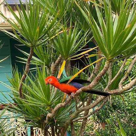 Riviera Bed & Breakfast-2
