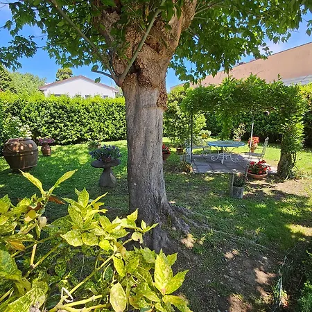 B&B Casa Tessieri-3