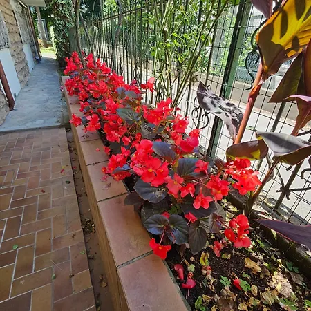 B&B Casa Tessieri-2