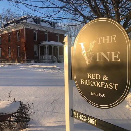 The Vine Bed & Breakfast, Llc-3