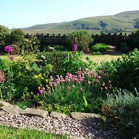 Parkin House Guest House-3