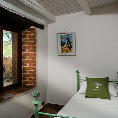 Roba Degli Ulivi-3
