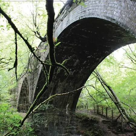 Afon Rhaiadr Country House-2