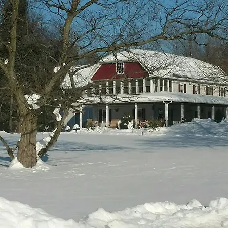 Beagle'S Bed & Breakfast-3