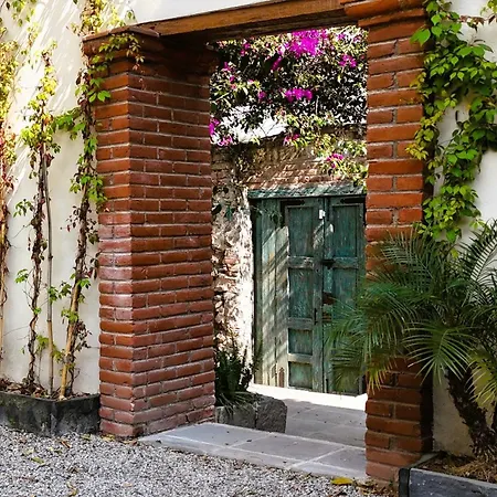 Orchid House Coyoacan-3