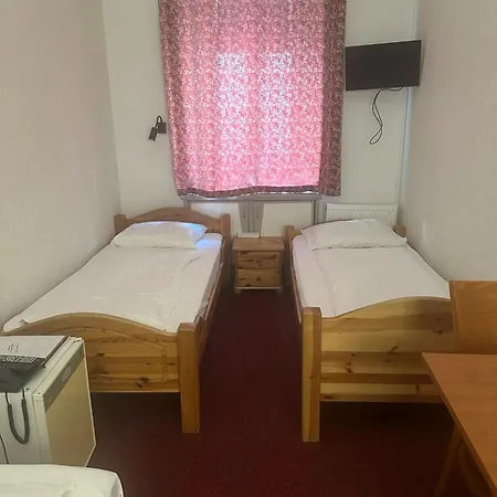 Hotel Pension Walzerstadt-2