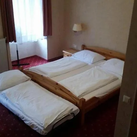 Hotel Pension Walzerstadt-3