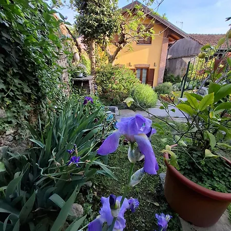 Casa Lavanda-2