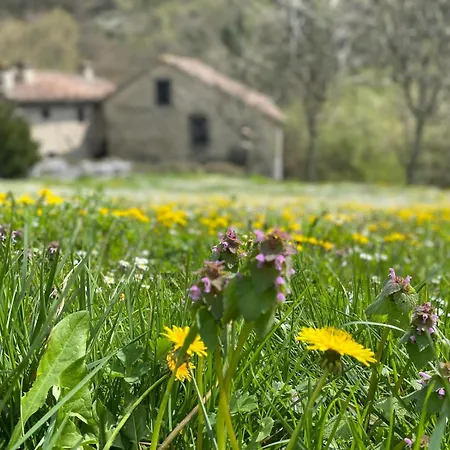 Borgo Corniola B&B Naturista-2