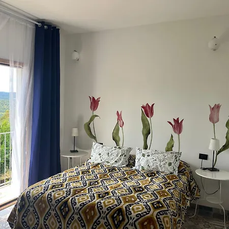 B&B Le Cicale-2