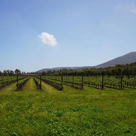 Agriturismo Casale Degli Ulivi Alghero-2