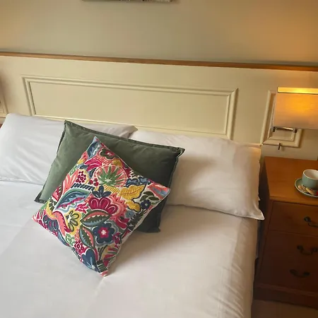 Ashfield House Failte Ireland Approved Bed And Breakfast-2