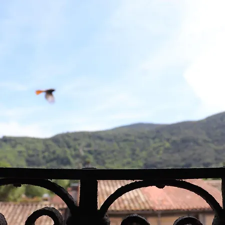 Les Magranes Bed & Breakfast-3