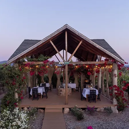 Tres Vides Hotel Boutique-2