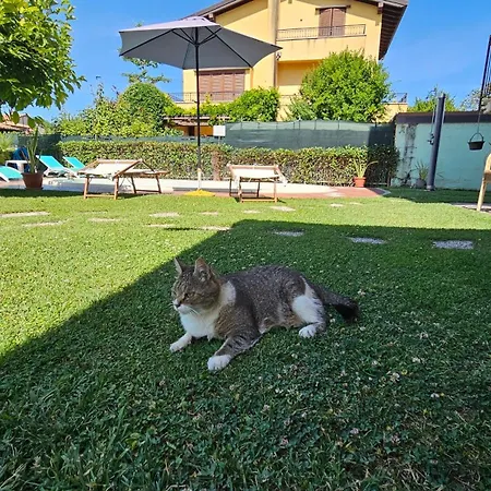 B&B Sandra-2
