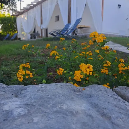 B&B Piccolo Vigneto-3