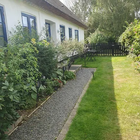 Pegasus Bed & Breakfast-2