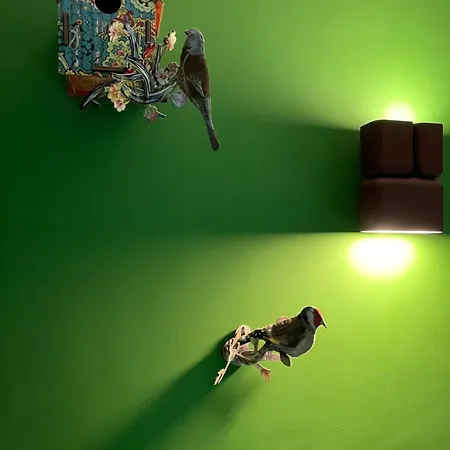 B&B Puntodivista-2
