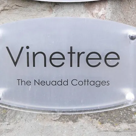 Neuadd B&B Suites-3