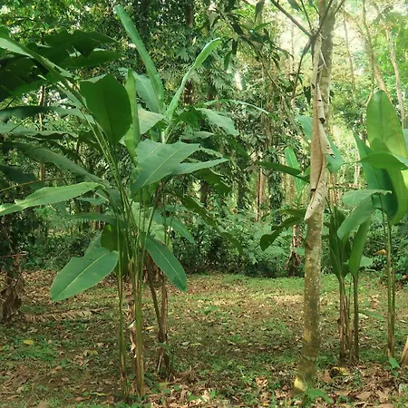 Casa Moabi-3