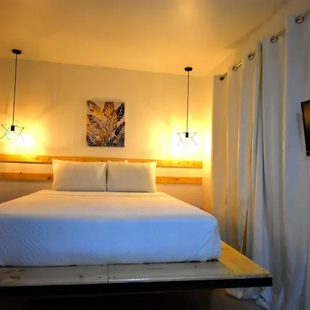 Freddy'S Place B&B-2