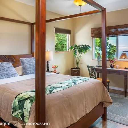 Ka'Awa Loa Plantation-3
