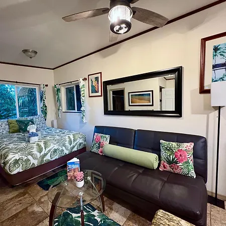 Hawaiian Ohana Home-2