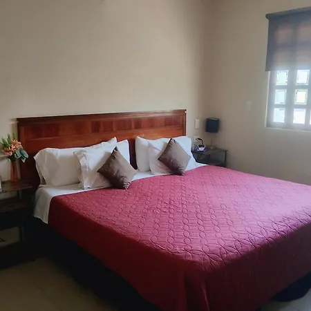 Bed And Breakfast Pecari-2