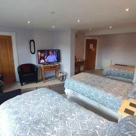 DUBLIN AIRPORT BEAUMONT HOSPITAL Marie's Bed&Breakfast-2