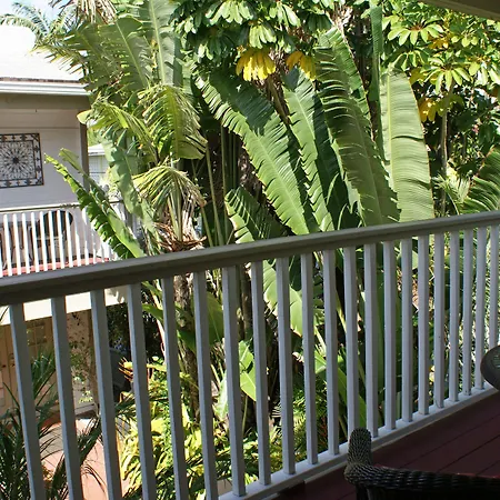 Sabal Palm House Bed And Breakfast-3
