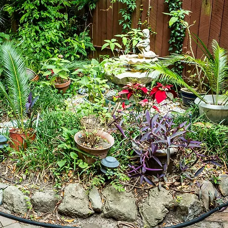 Amethyst Garden-2