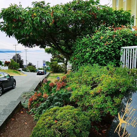 Star Of The Sea Guest House-2