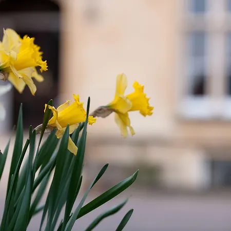 Cotswold Grange-2