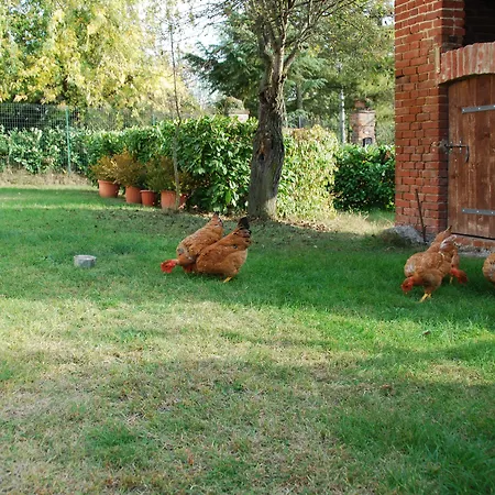B&B Cascina Bricchetto-3