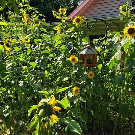 Blue Ridge Manor Bed And Breakfast-2