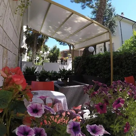 Hotel Ausonia B&B Rimini-3