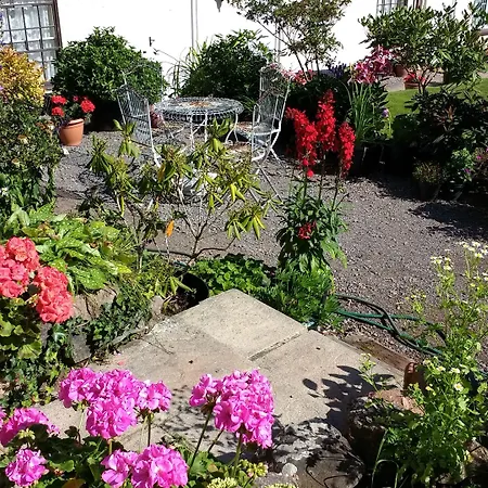 Brambles Bed And Breakfast-3