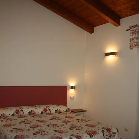 Rosa di Assisi-3
