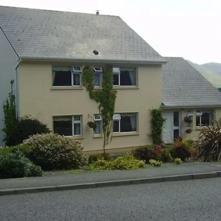 Adare House Bed & Breakfast-2