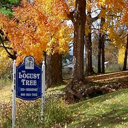 Locust Tree Bed And Breakfast Llc-3