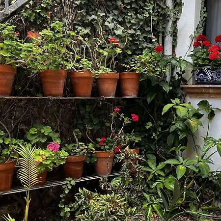 Casa Carmen-2