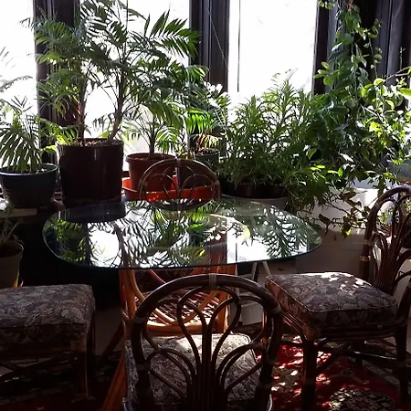 Chestnut Charm Bed & Breakfast-3