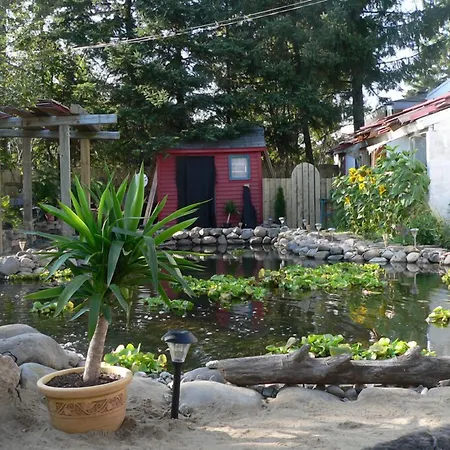 L'Oasis Du Pirate-2