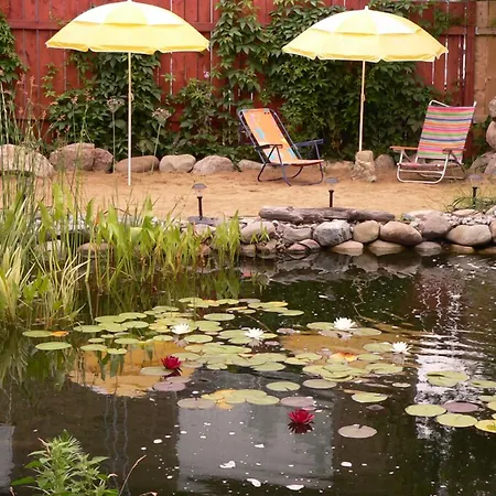 L'Oasis Du Pirate-3