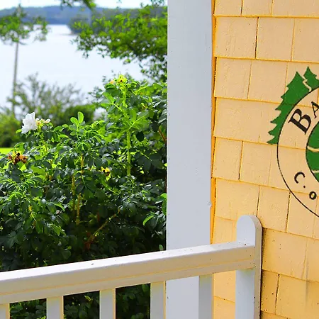 Bayview Pines Country Inn B&B-2