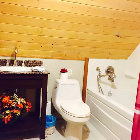 Luna Bed & Breakfast-3