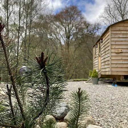 Highland Bear Lodge & Woodland Bear Huts-3